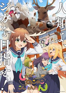 日历女郎
